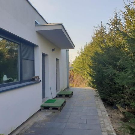 Maly Apartament W Zieleni Blisko Jeziora Шрода Великополска Екстериор снимка