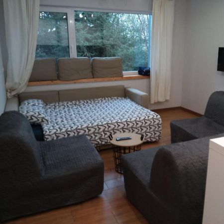 Maly Apartament W Zieleni Blisko Jeziora Шрода Великополска Екстериор снимка