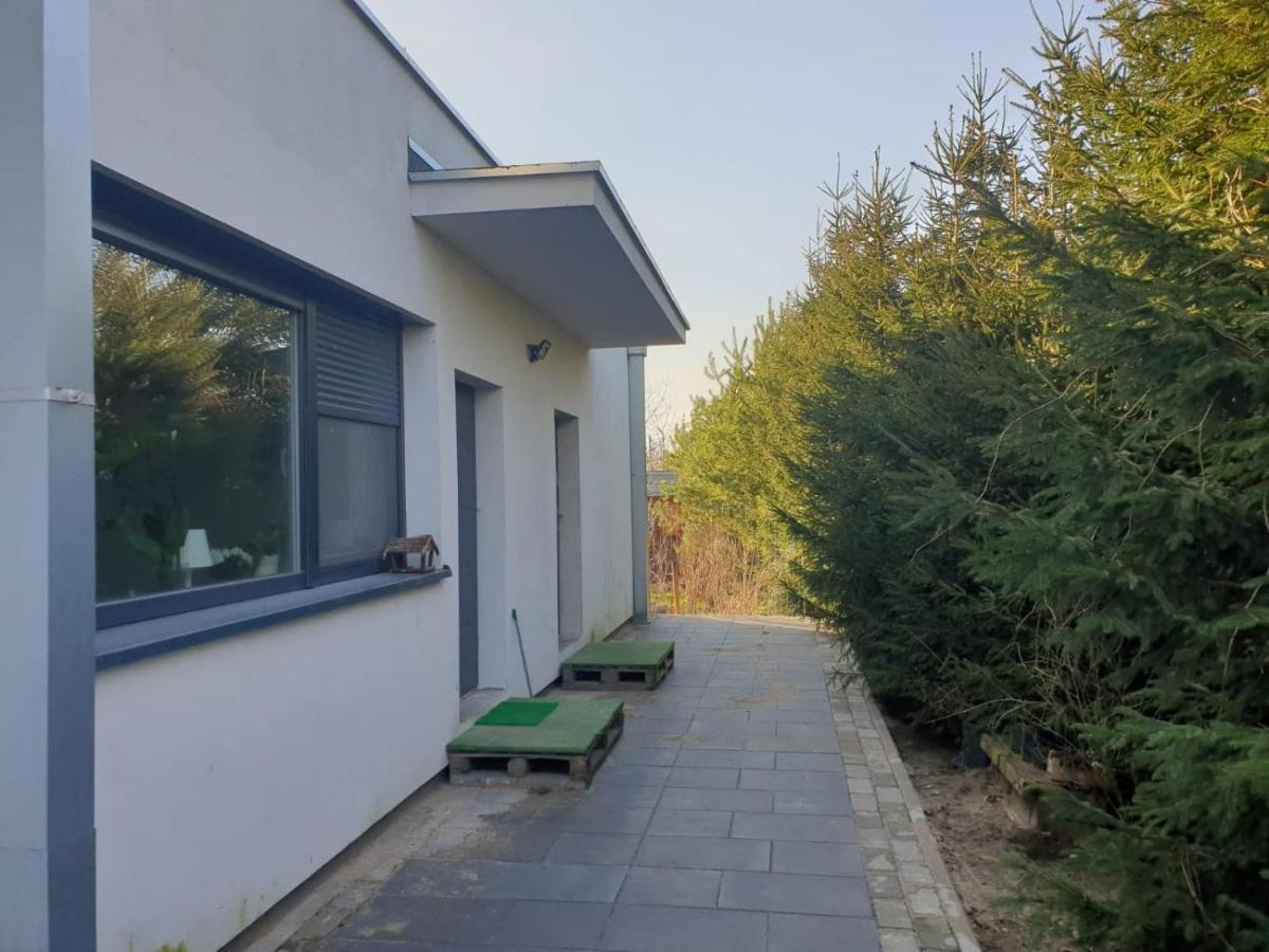 Maly Apartament W Zieleni Blisko Jeziora Шрода Великополска Екстериор снимка